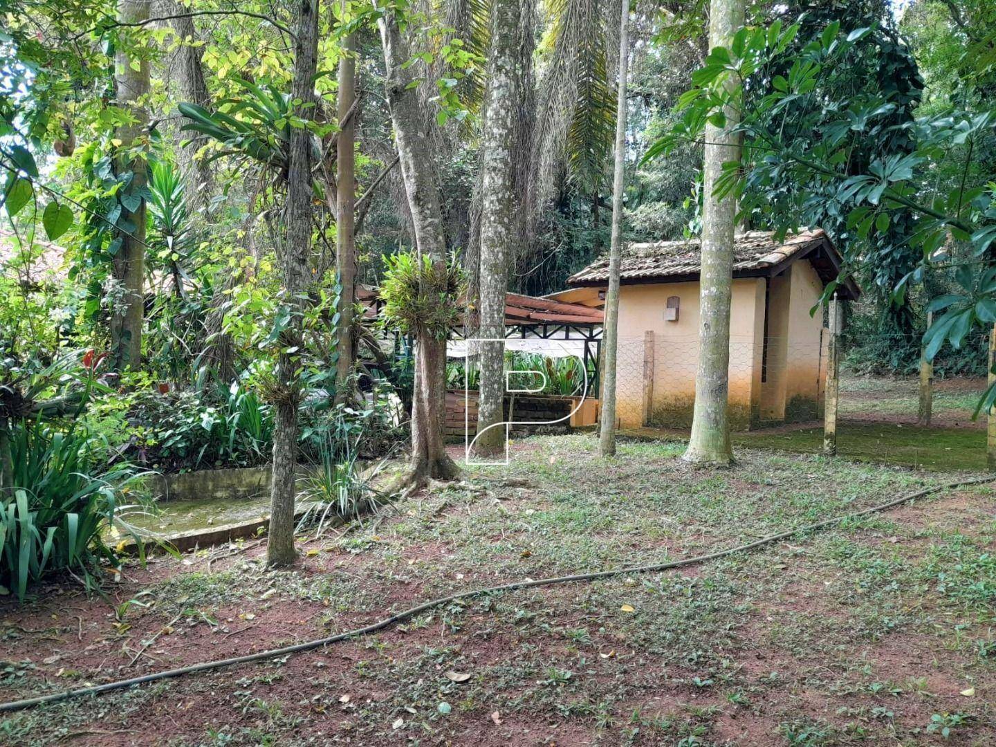 Chácara, 3 quartos, 3600 m² - Foto 4