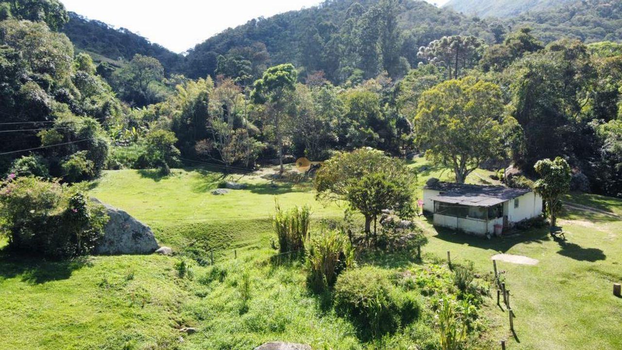 Fazenda à venda com 5 quartos, 500m² - Foto 45