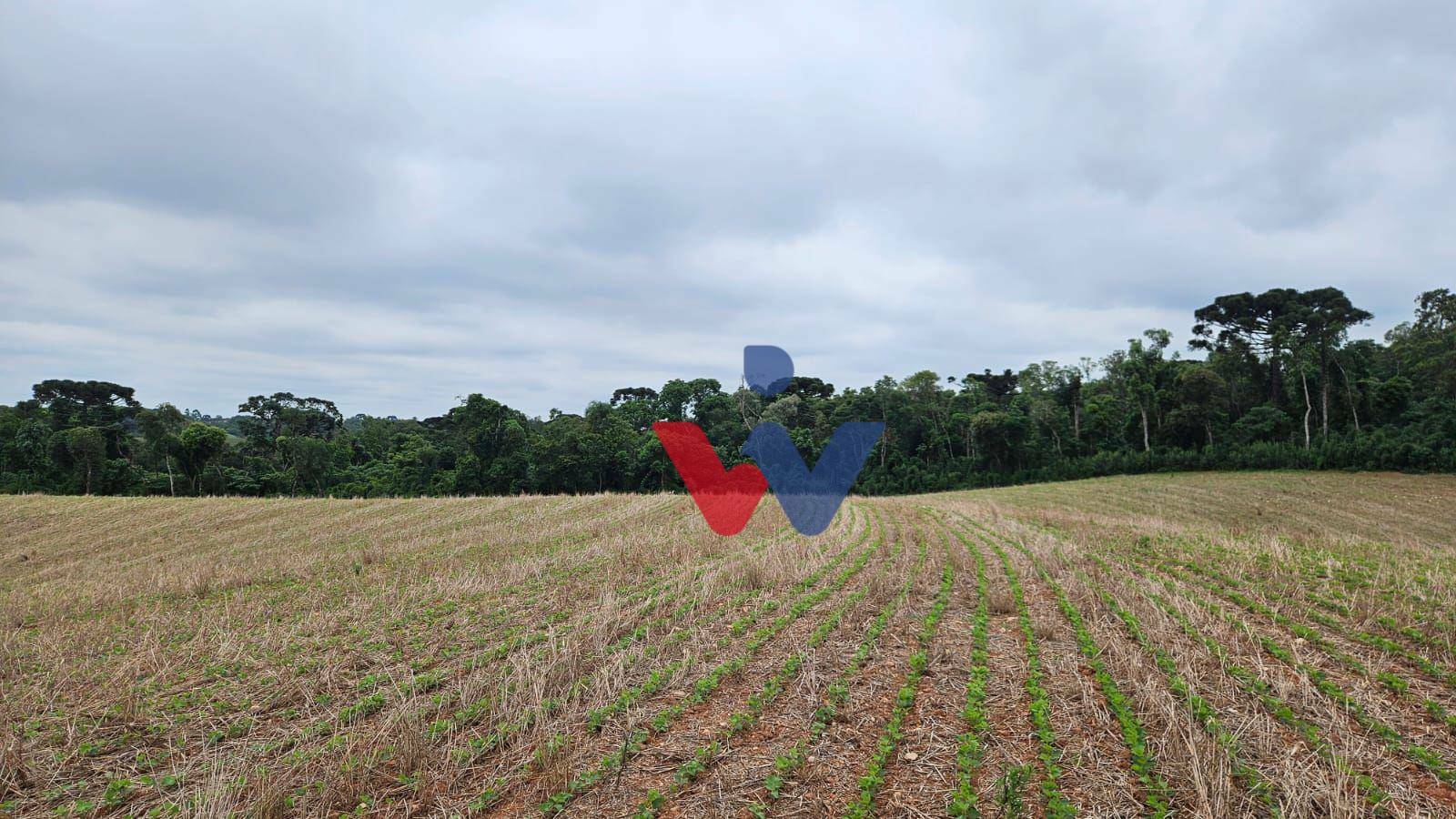 Fazenda à venda com 3 quartos, 1694000M2 - Foto 21