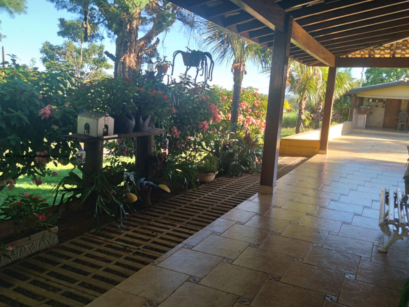 Chácara, 3 quartos, 2 hectares - Foto 3