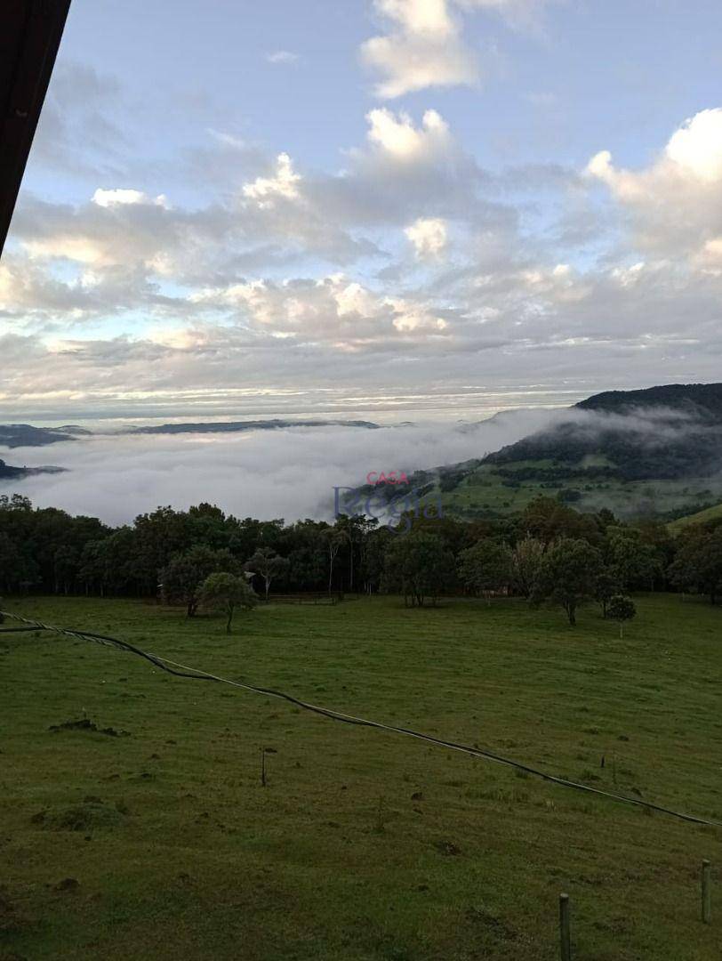 Sítio à venda com 3 quartos, 312229M2 - Foto 14