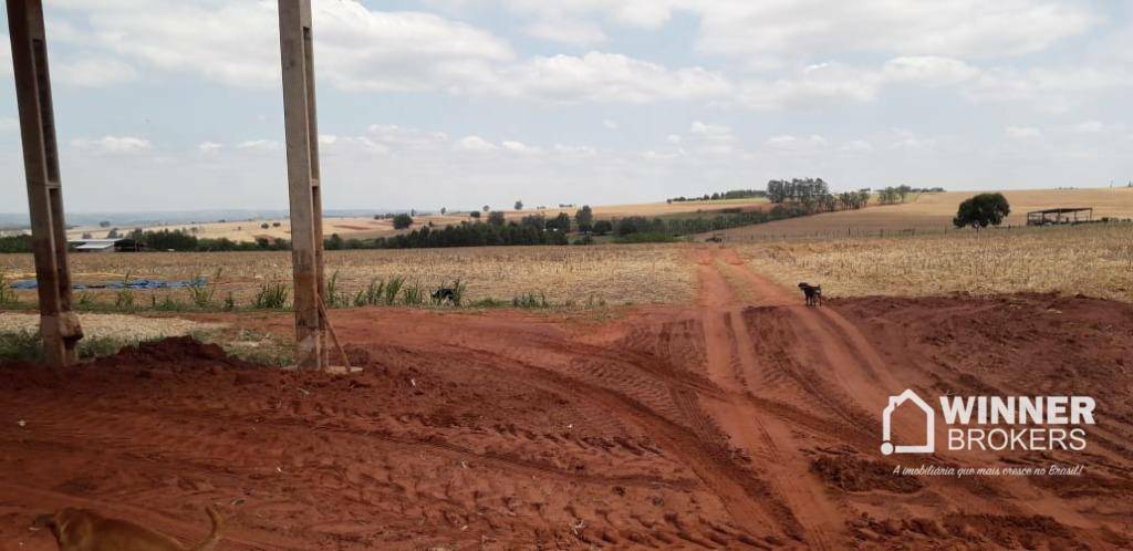 Chácara à venda com 1 quarto, 45000M2 - Foto 3