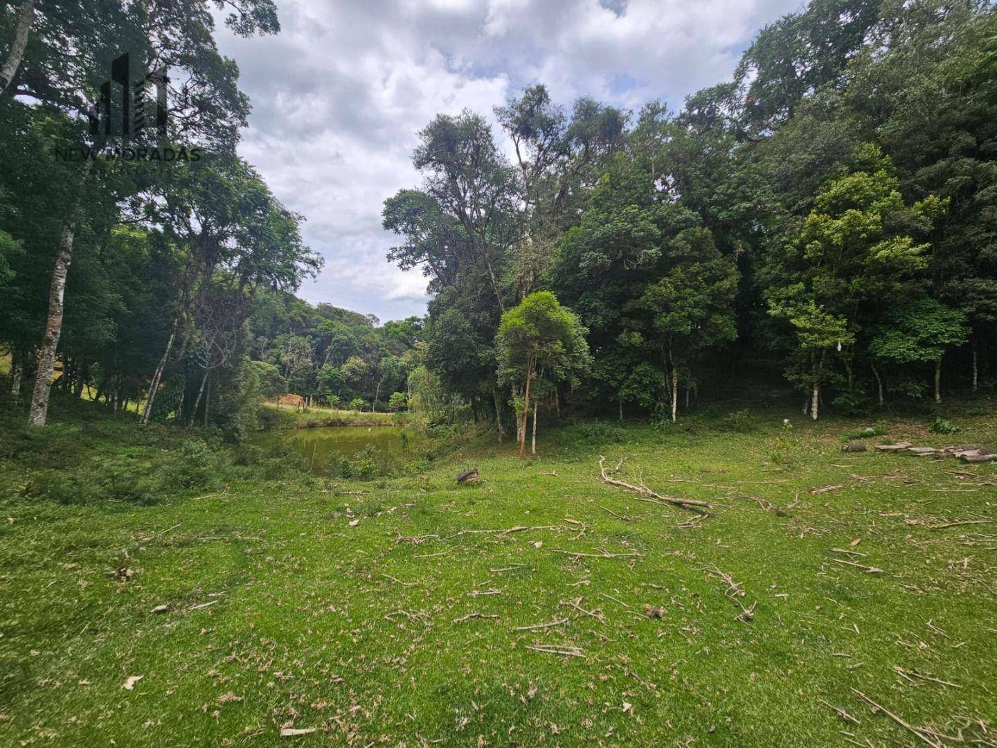 Chácara à venda com 4 quartos, 90m² - Foto 8