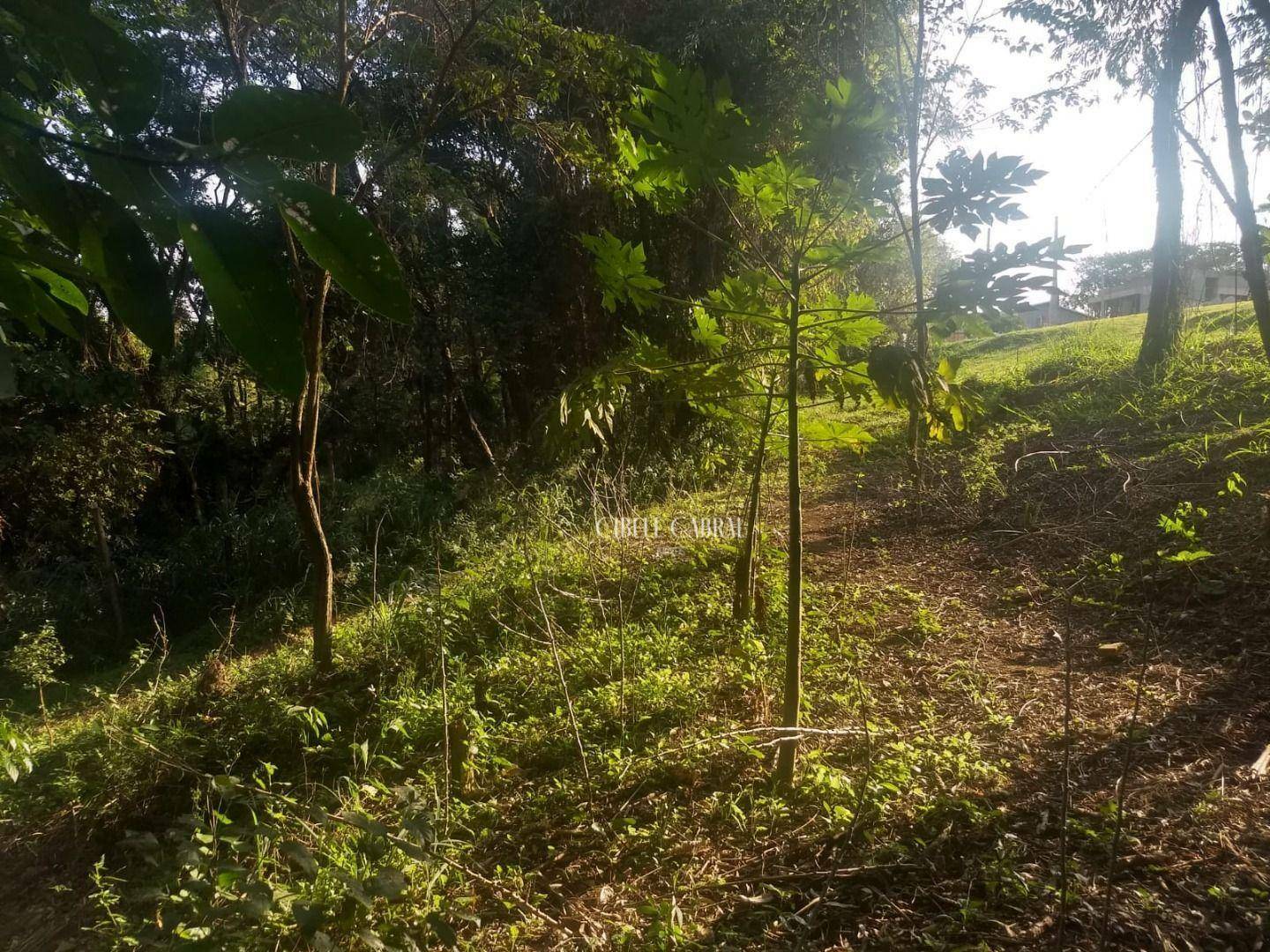 Loteamento e Condomínio à venda, 810M2 - Foto 16