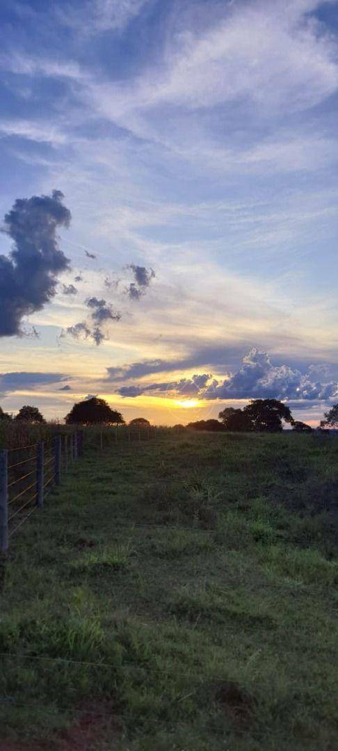 Fazenda à venda, 1355200M2 - Foto 11