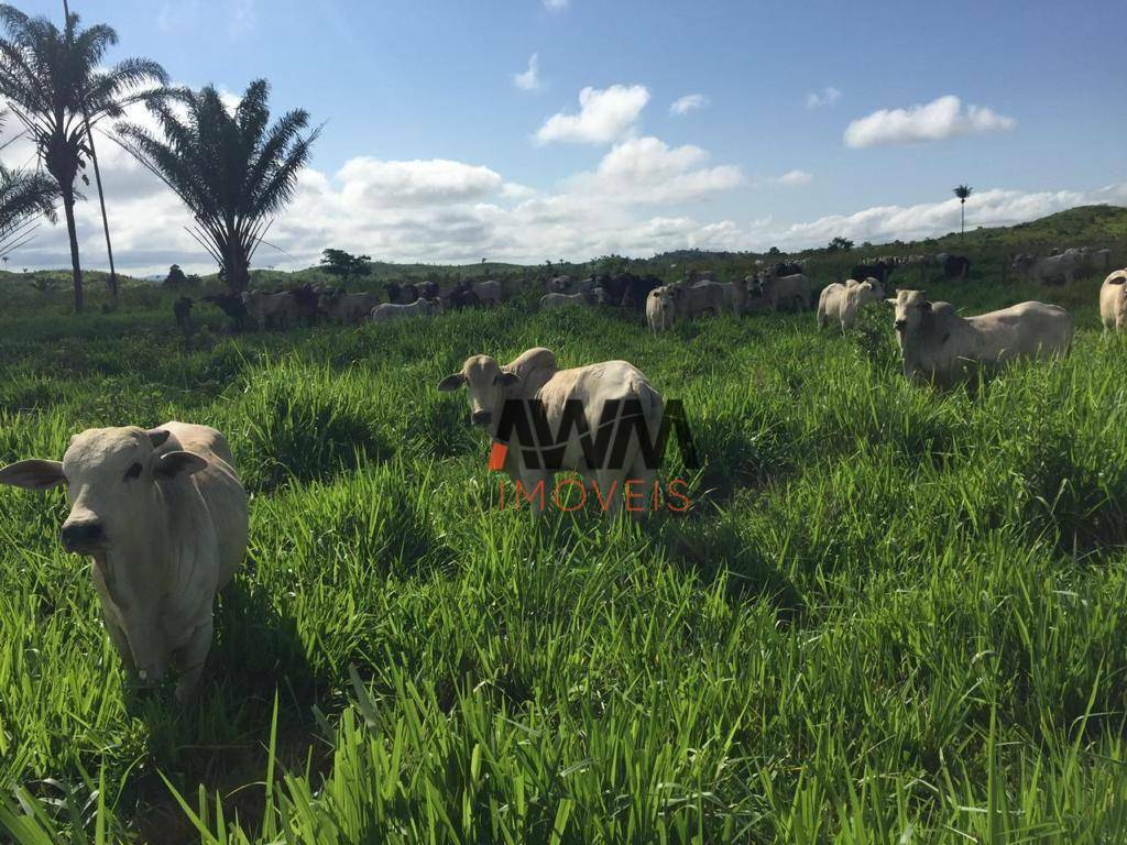 Fazenda à venda, 121000000M2 - Foto 10