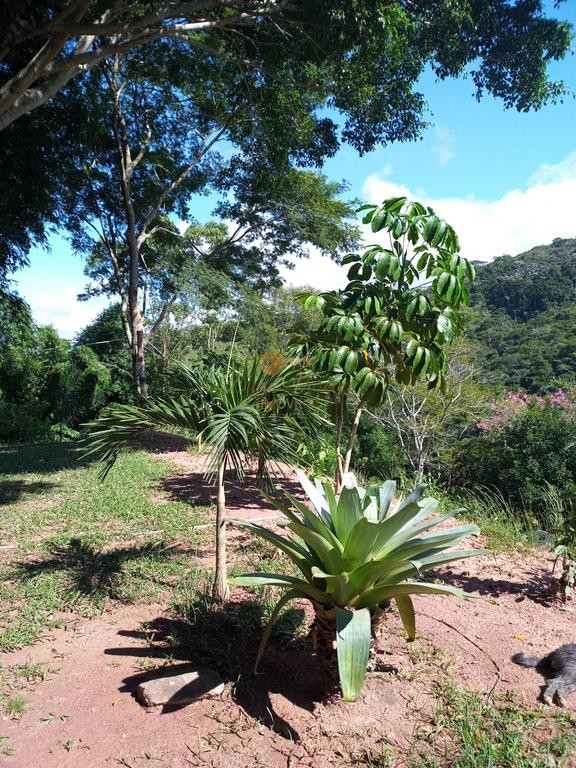 Terreno à venda, 20800m² - Foto 18