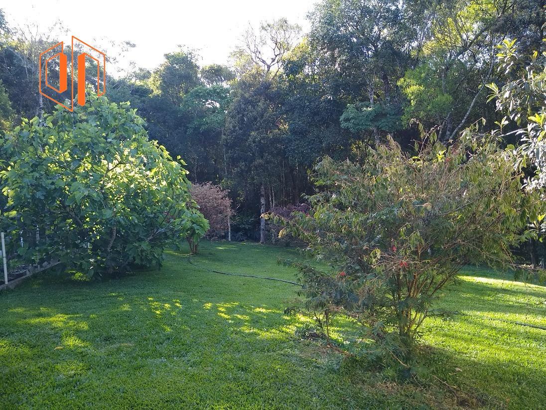 Chácara, 6000 m² - Foto 4