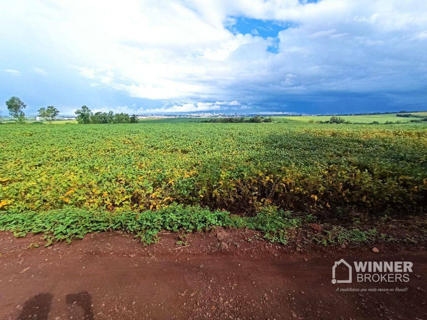 Terreno à venda, 242000M2 - Foto 4