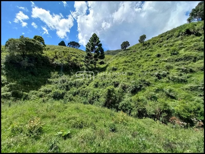 Fazenda à venda, 24m² - Foto 17