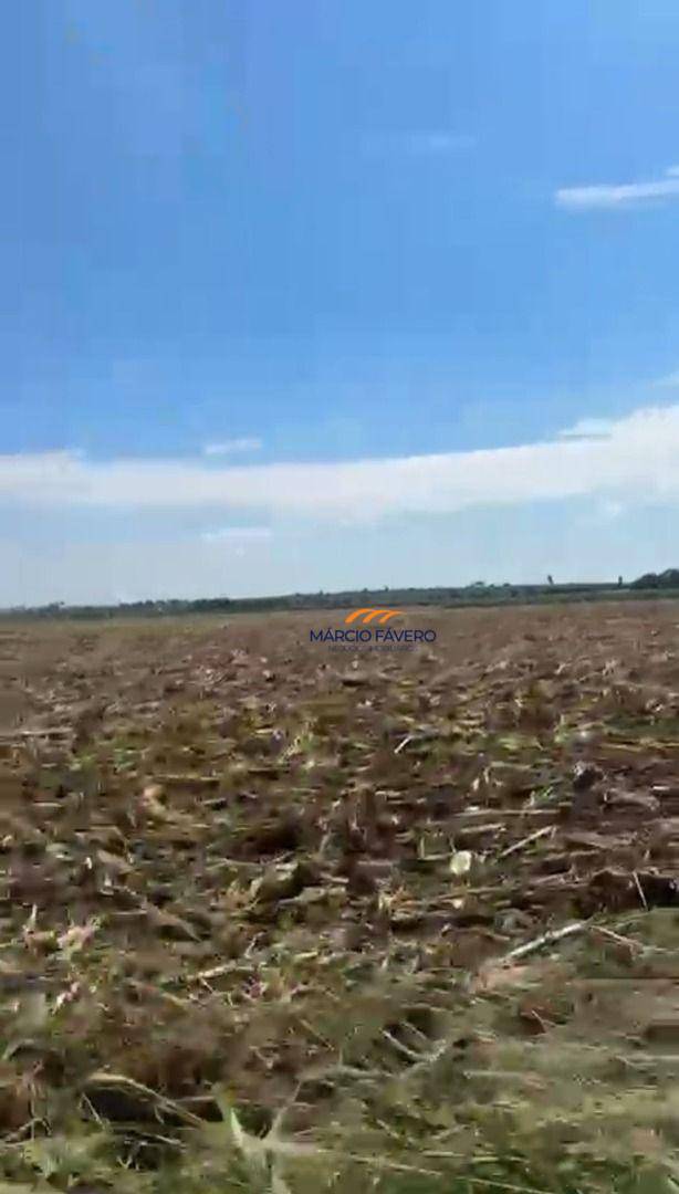 Fazenda, 126 hectares - Foto 3