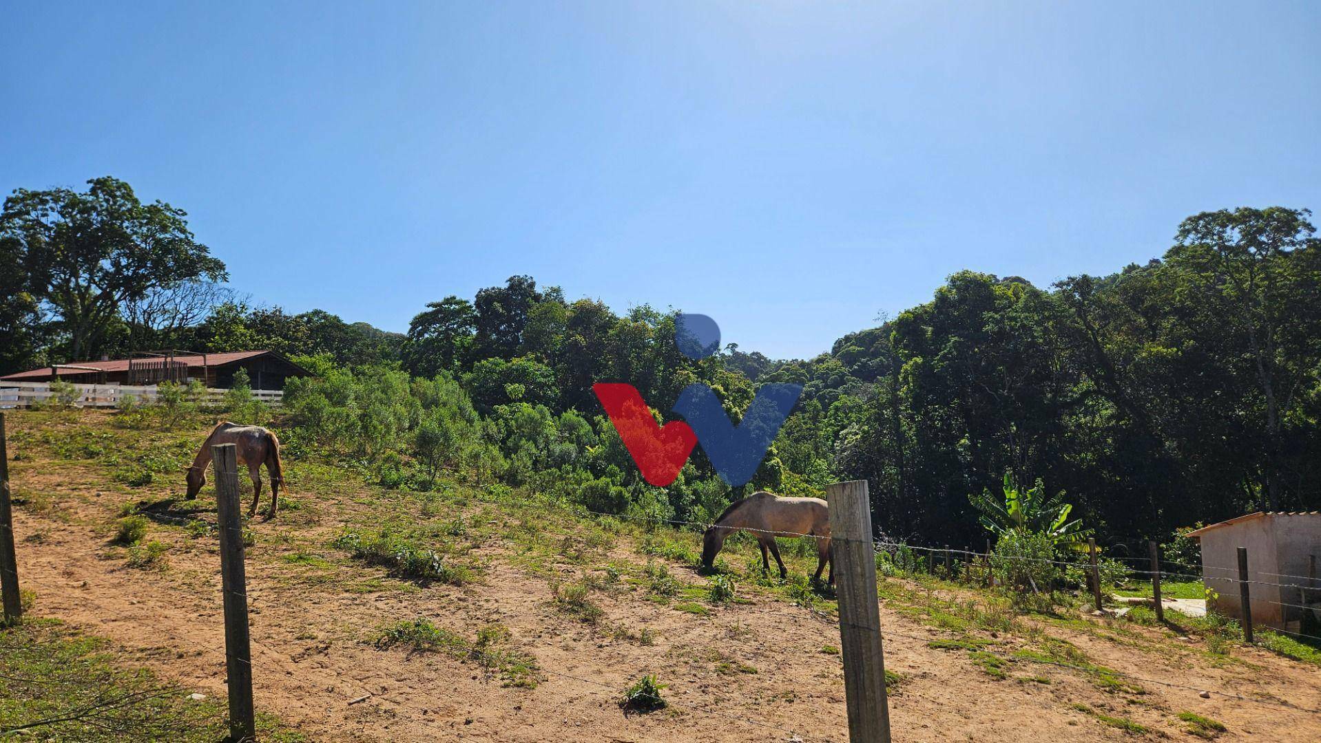 Chácara à venda, 4361M2 - Foto 7