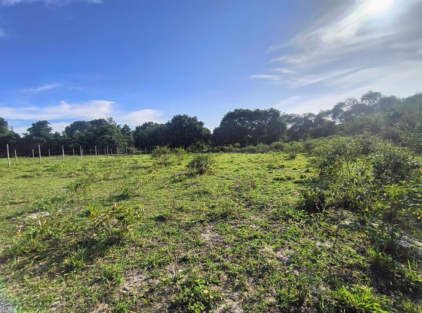 Terreno à venda, 2350m² - Foto 7