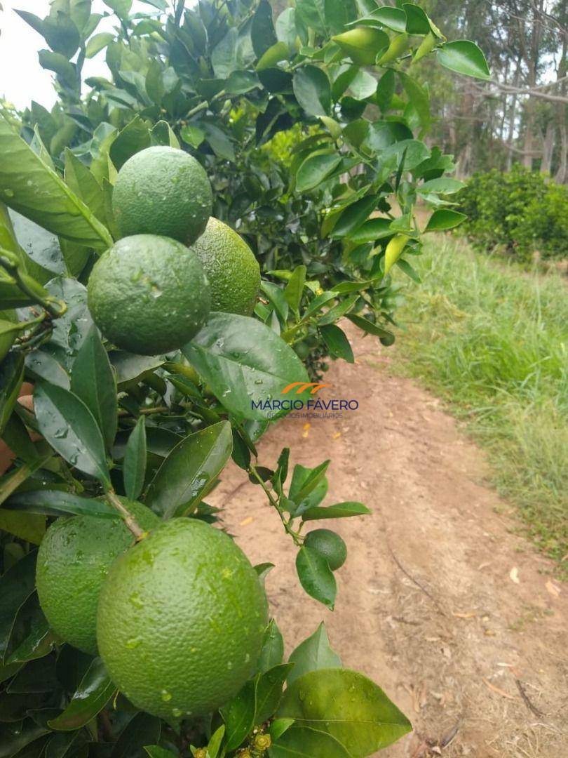 Fazenda à venda, 4259200M2 - Foto 8