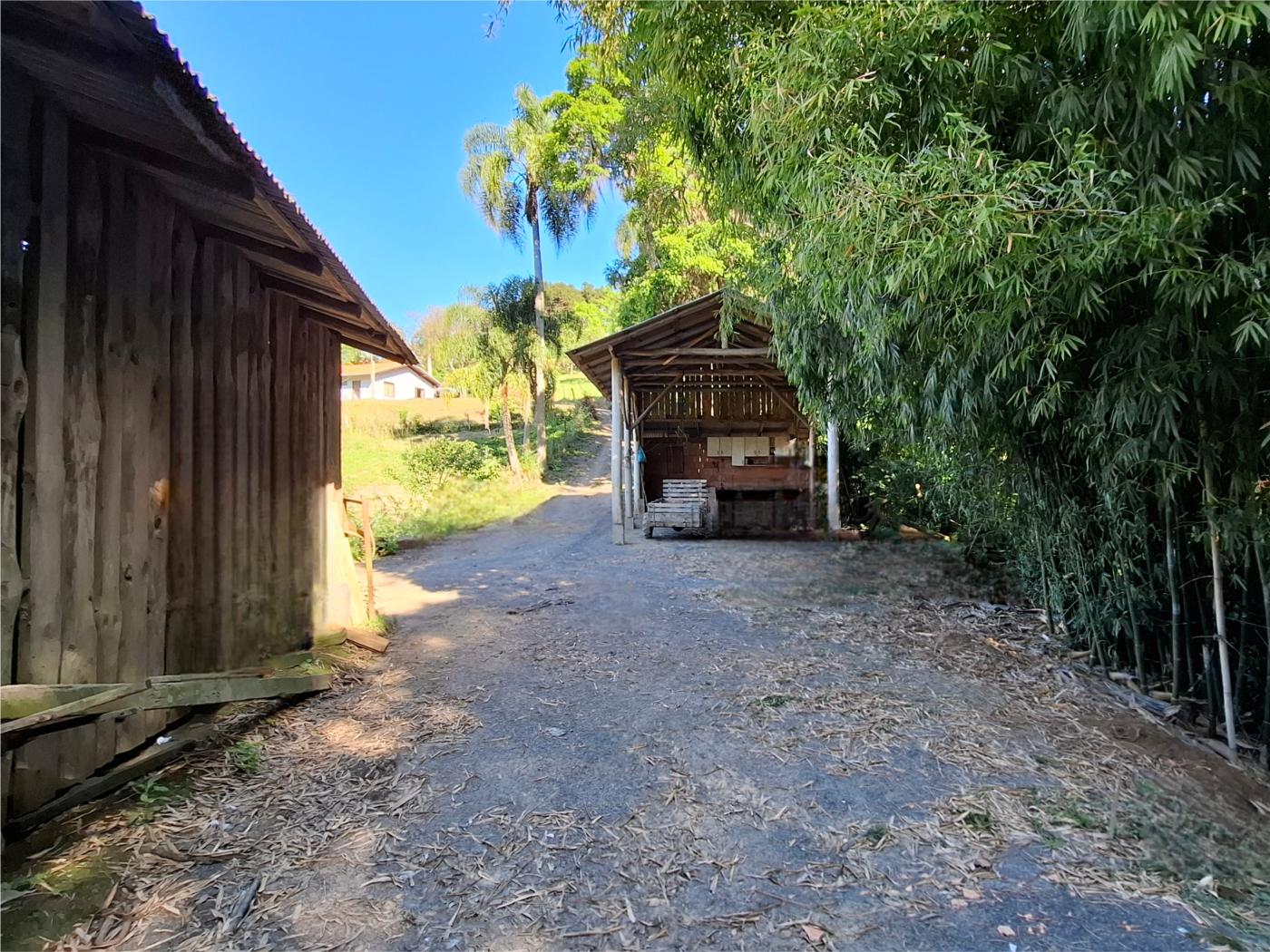 Fazenda à venda com 3 quartos, 90000m² - Foto 27