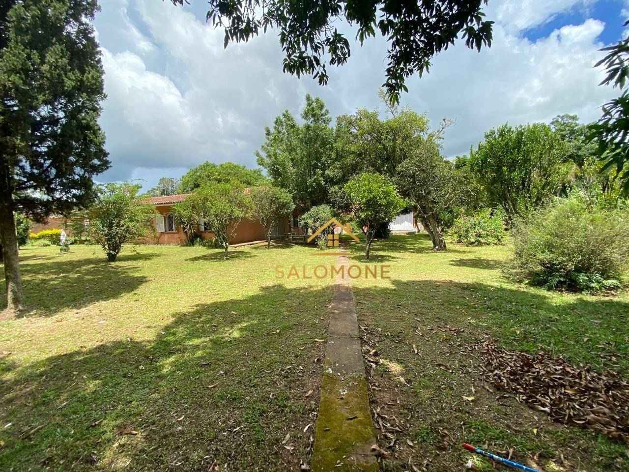 Sítio, 3 quartos, 6000 m² - Foto 3