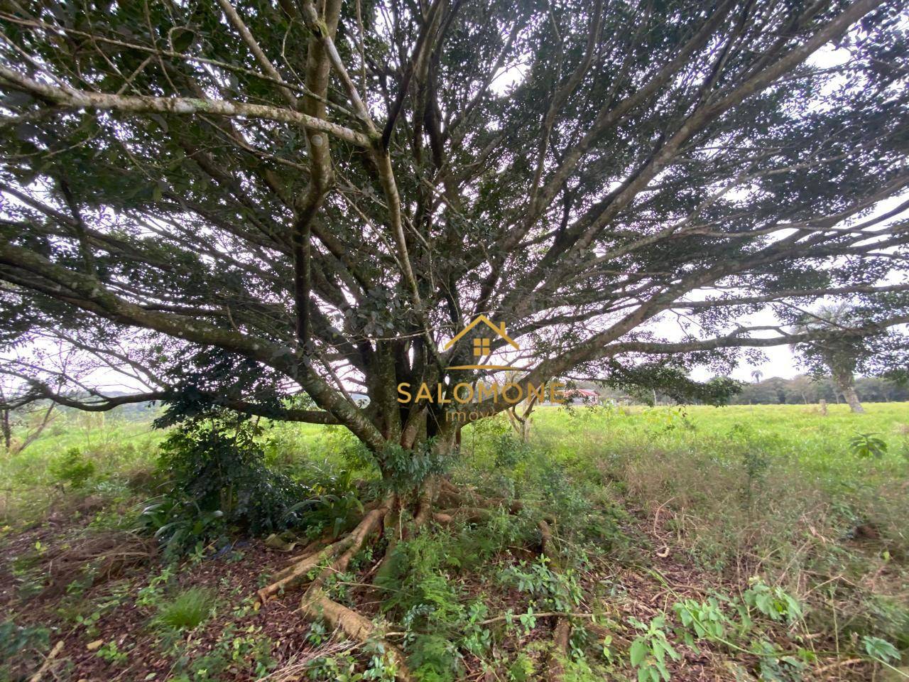 Sítio, 2 quartos, 5 hectares - Foto 1