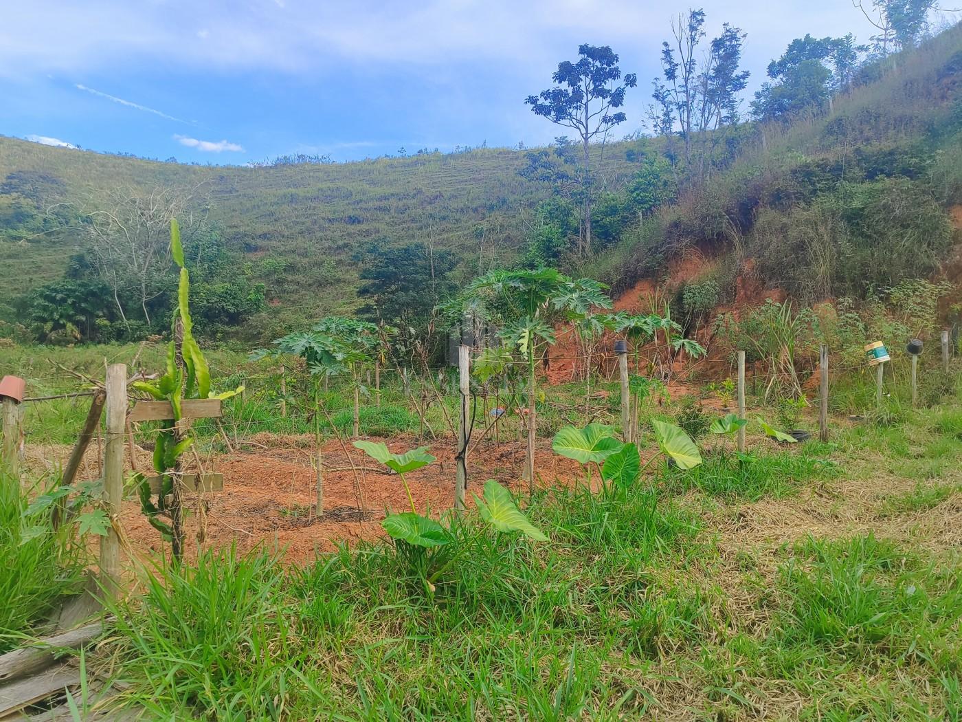 Chácara à venda, 4800m² - Foto 9