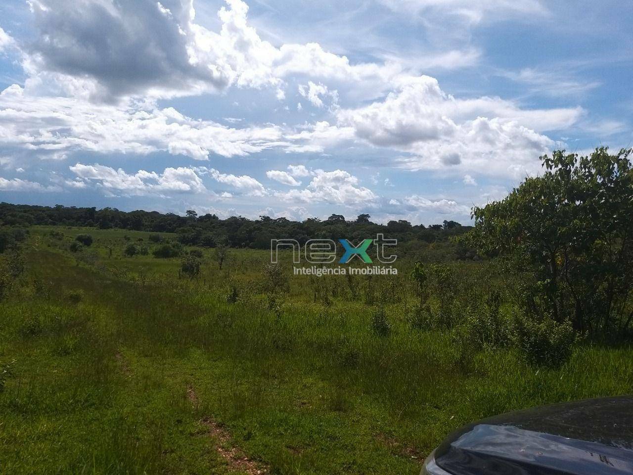 Fazenda à venda com 4 quartos, 430000M2 - Foto 30