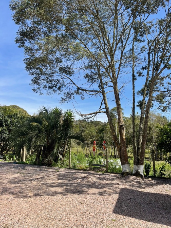 Chácara, 10000 m² - Foto 10