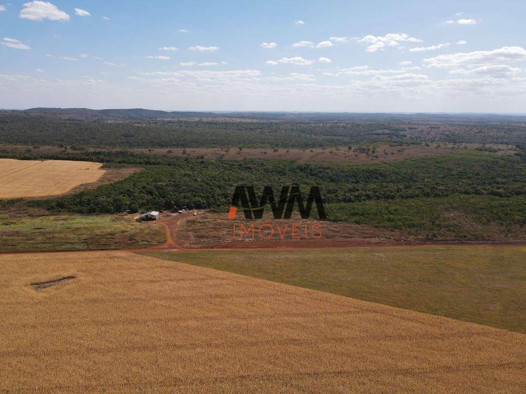 Fazenda-Sítio-Chácara, 707 hectares - Foto 7