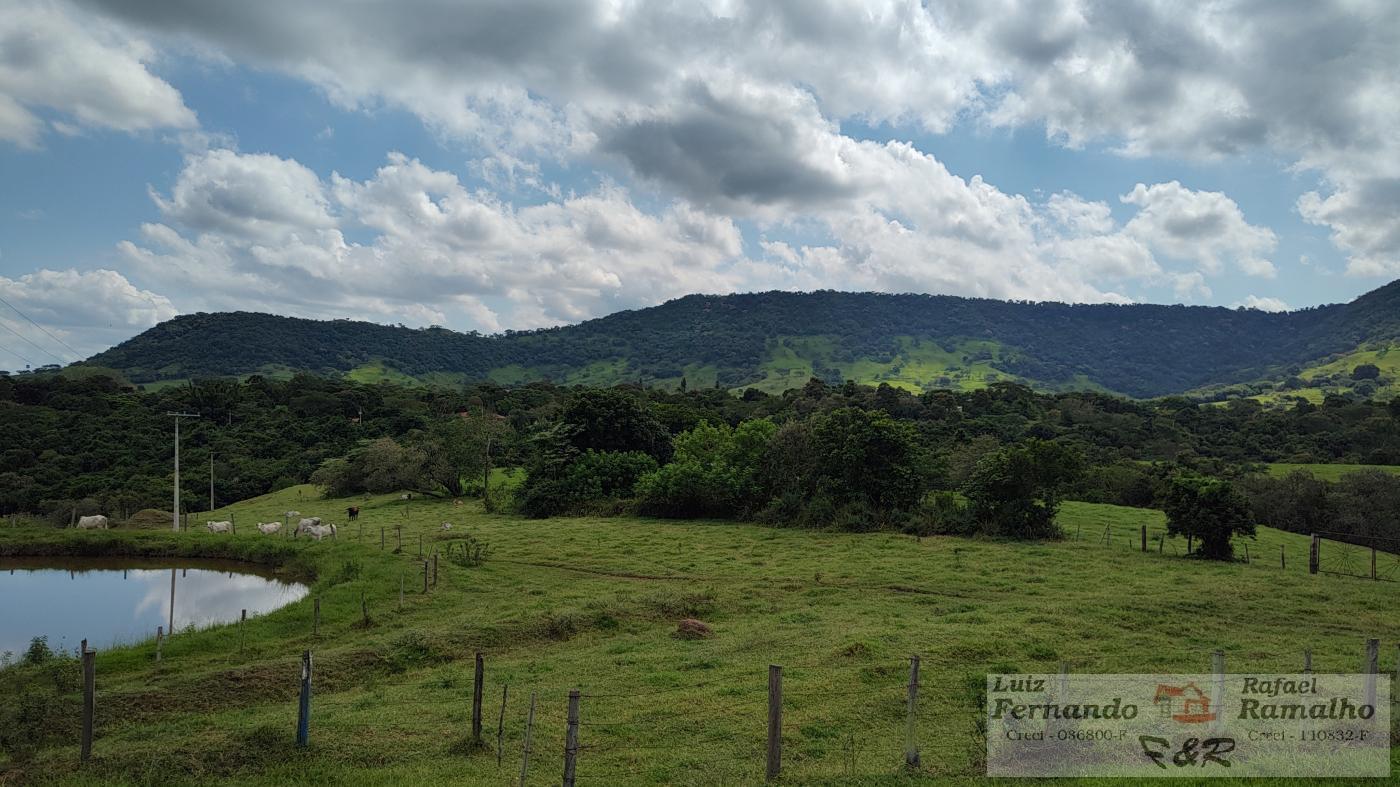 Fazenda à venda com 10 quartos, 7m² - Foto 2