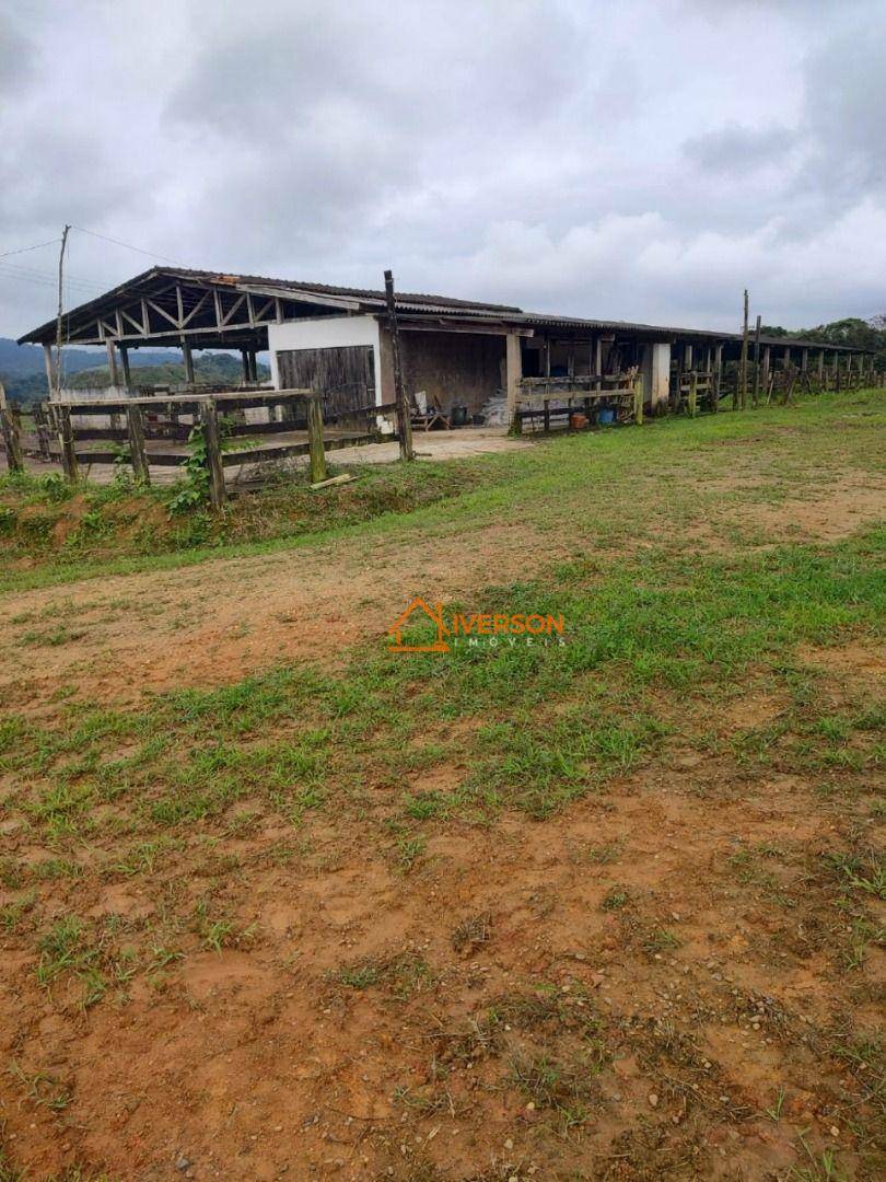 Fazenda à venda com 2 quartos, 2032800M2 - Foto 7