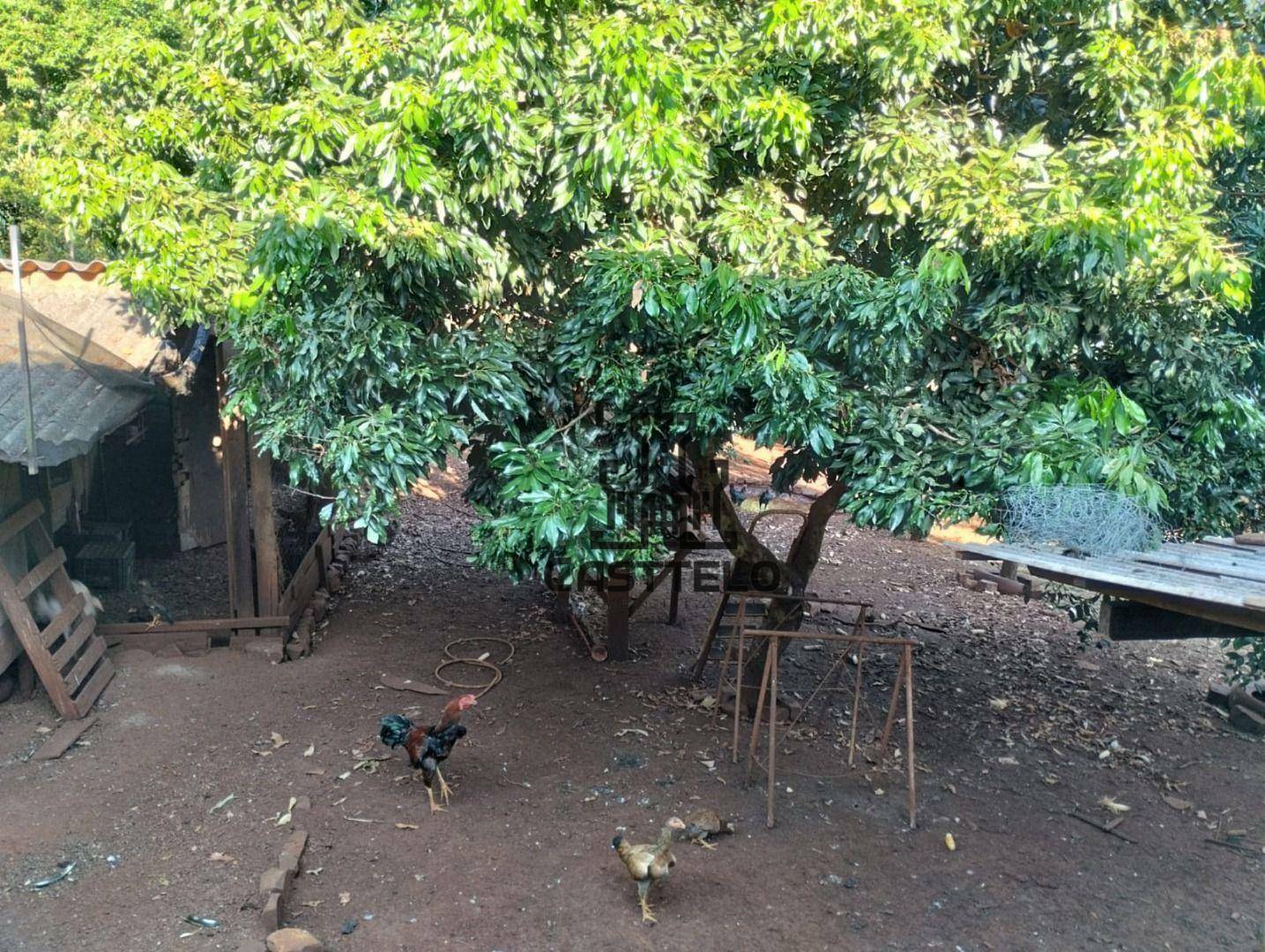 Chácara à venda com 3 quartos, 200m² - Foto 22