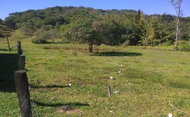 Fazenda à venda com 3 quartos, 40000m² - Foto 21