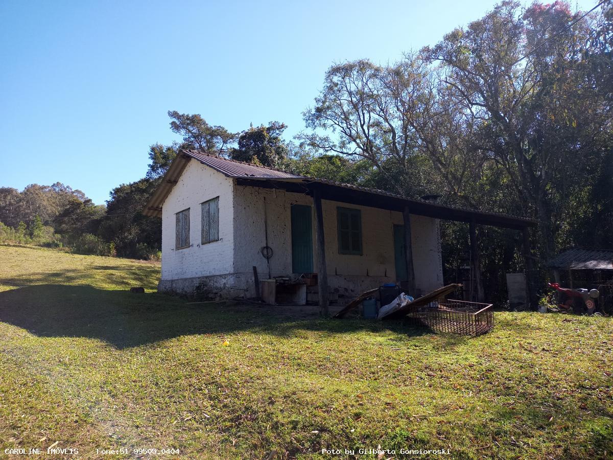 Fazenda à venda com 4 quartos, 160000m² - Foto 17