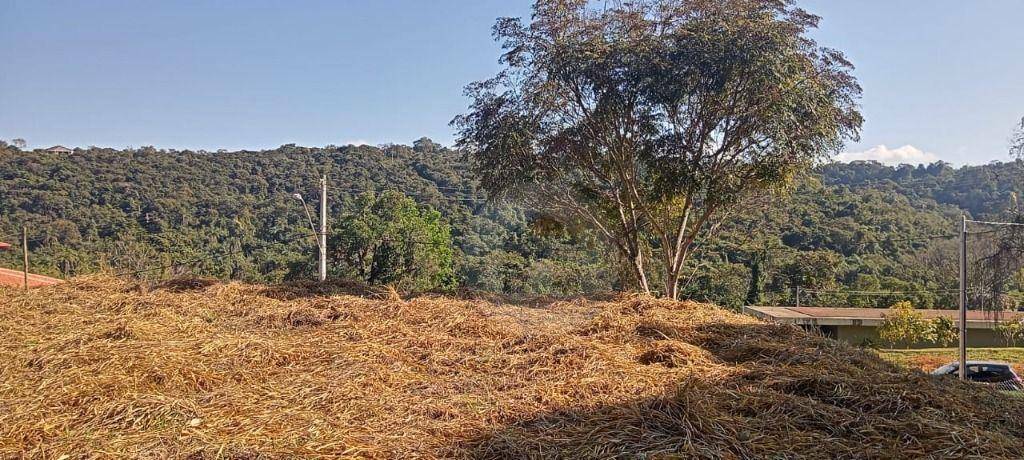 Loteamento e Condomínio à venda, 1000M2 - Foto 3