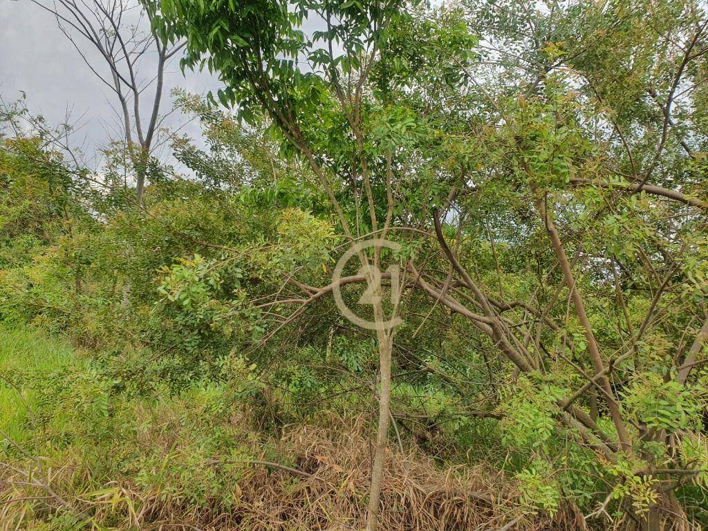 Loteamento e Condomínio à venda, 300M2 - Foto 4