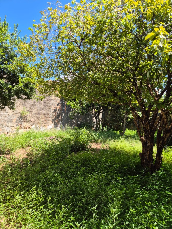 Casa à venda com 4 quartos, 104m² - Foto 13