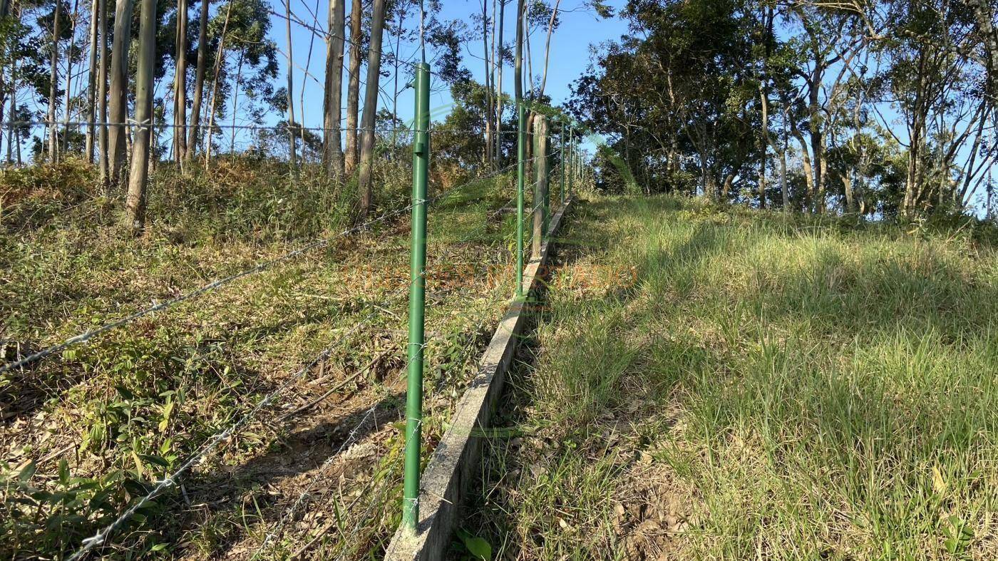 Sítio, 60 m² - Foto 4