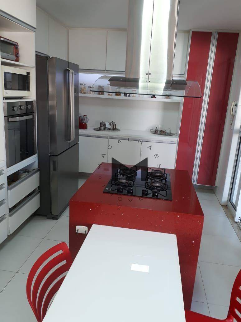 Casa, 4 quartos, 253 m² - Foto 13