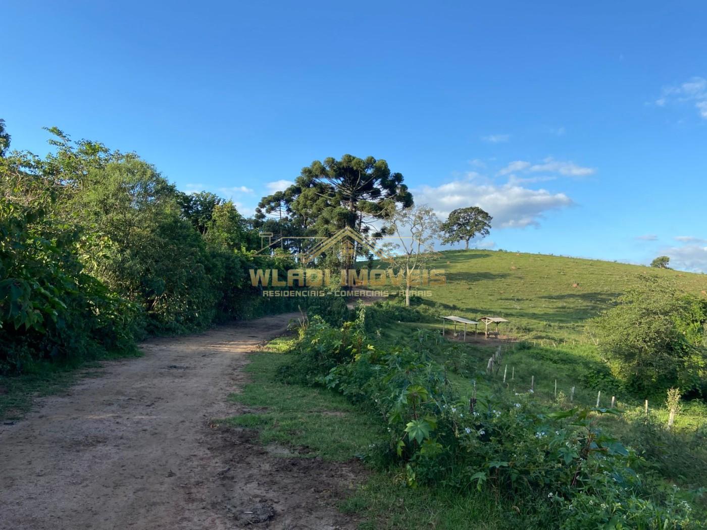 Terreno, 4 m² - Foto 7