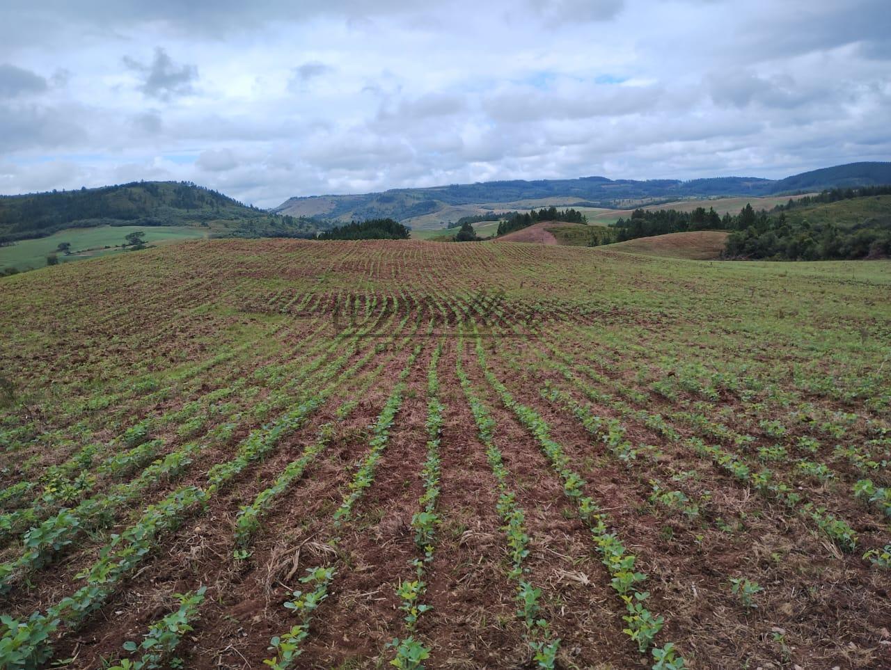 Fazenda-Sítio-Chácara, 677 m² - Foto 3