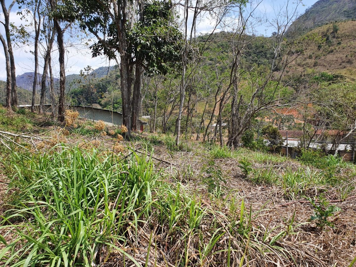 Terreno à venda, 92624M2 - Foto 8