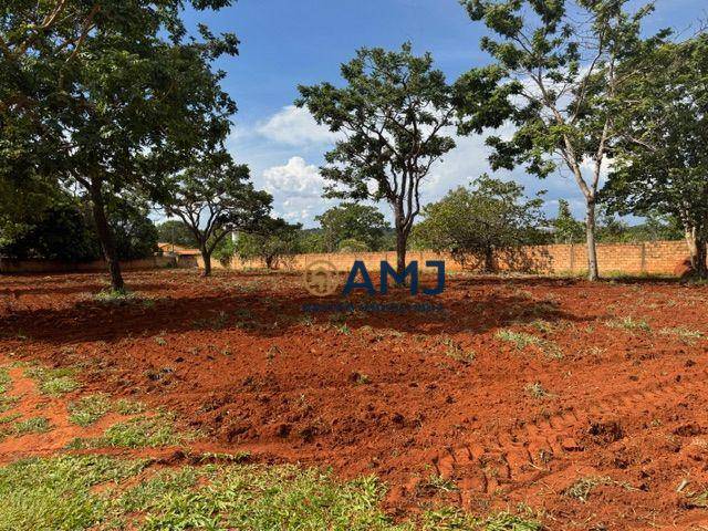 Chácara, 3 quartos, 8334 m² - Foto 2