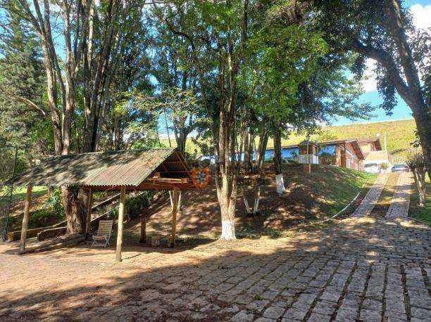 Chácara à venda com 4 quartos, 459m² - Foto 53