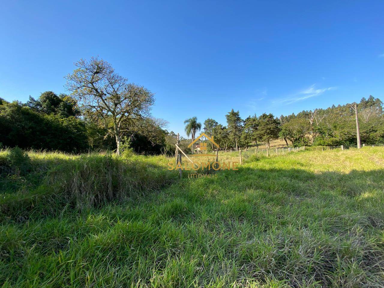 Sítio, 3 hectares - Foto 24