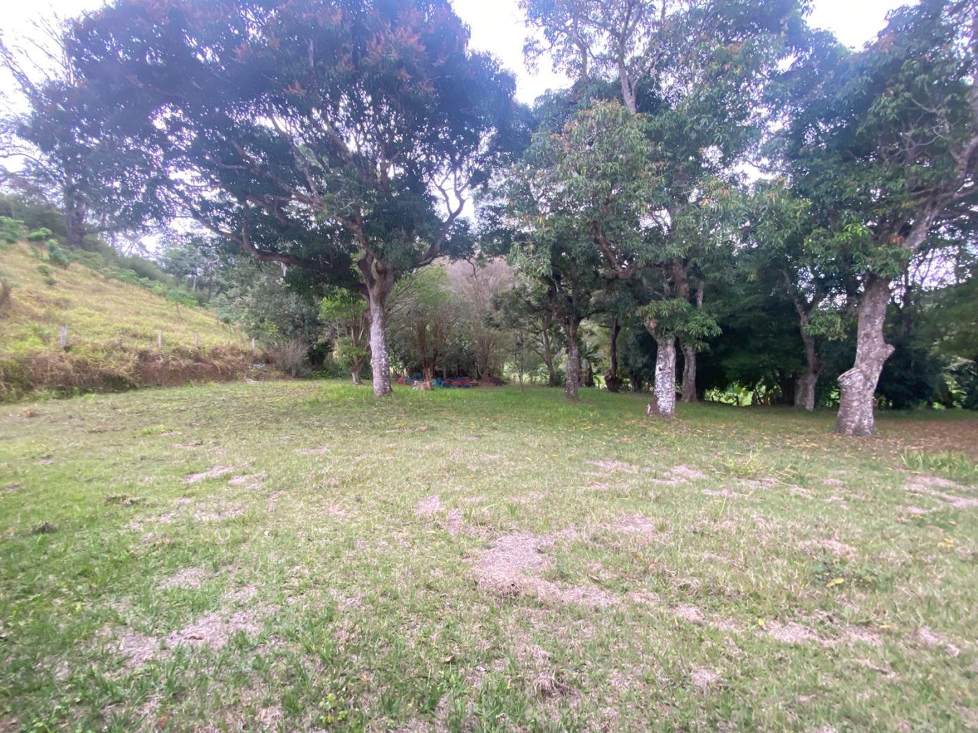 Sítio à venda com 5 quartos, 170000m² - Foto 34