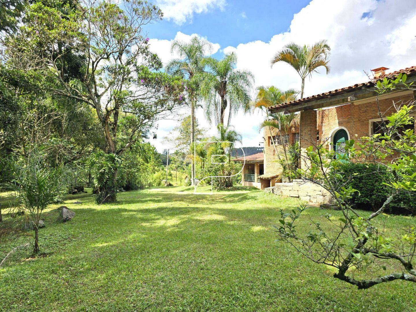 Terreno, 4 hectares - Foto 49