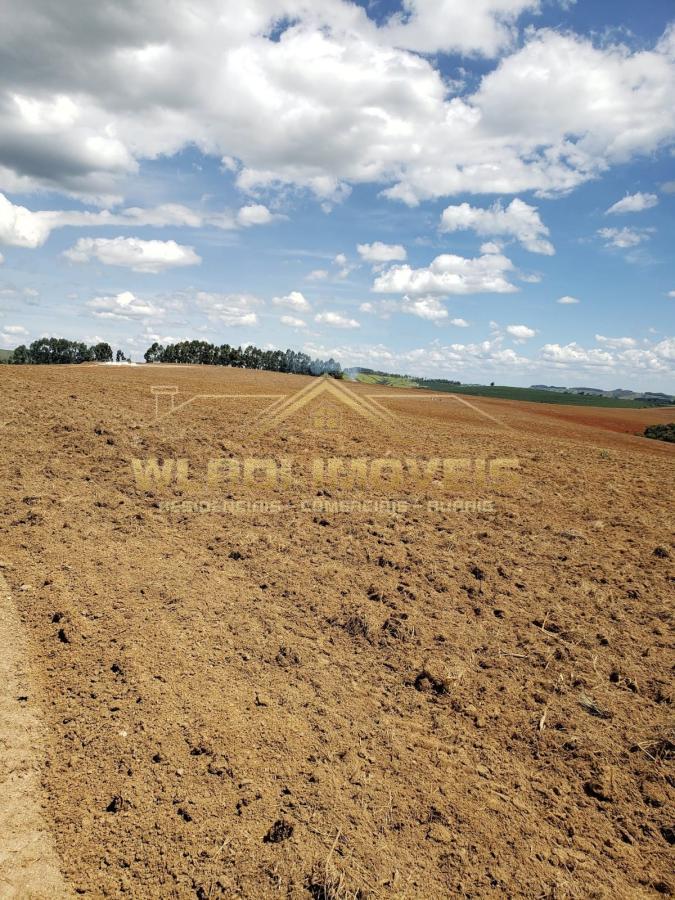 Fazenda à venda, 330m² - Foto 4