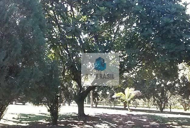 Terreno à venda, 24343M2 - Foto 2