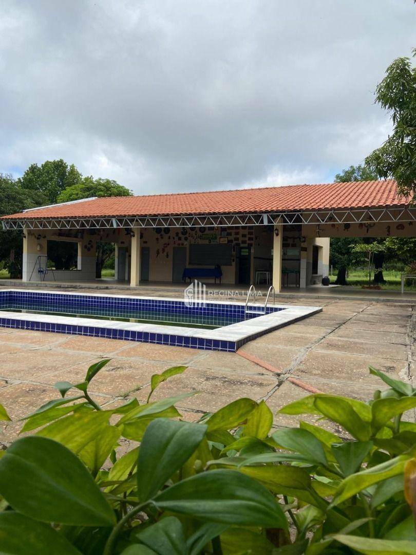 Sítio à venda com 4 quartos, 25600M2 - Foto 14