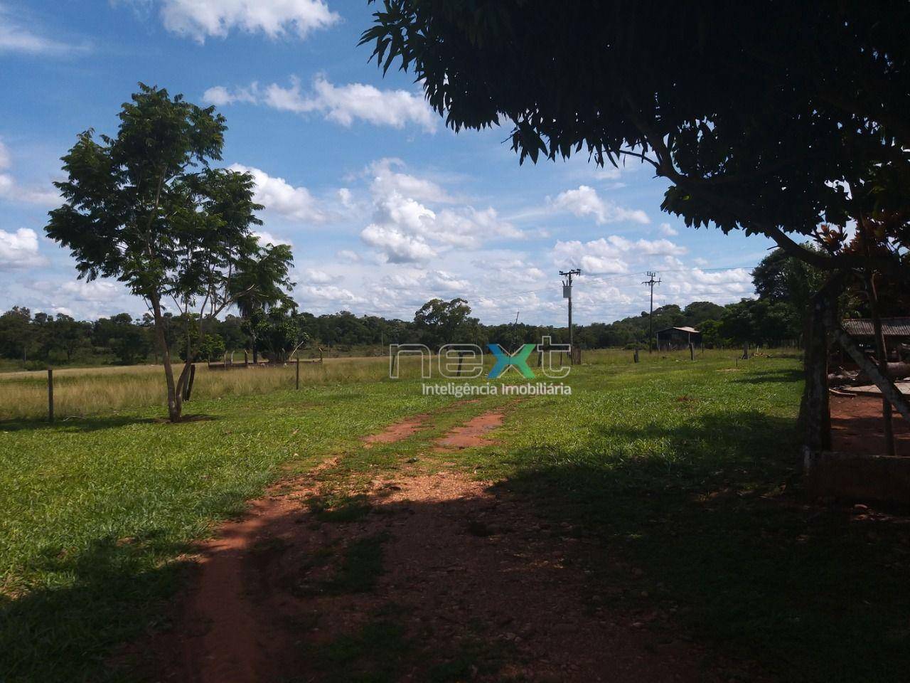 Chácara à venda com 4 quartos, 430000M2 - Foto 13