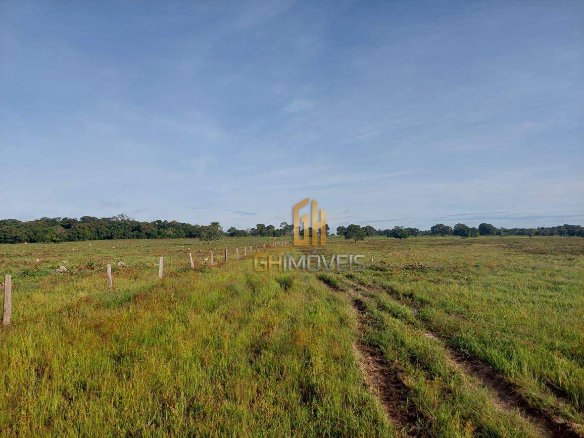 Fazenda-Sítio-Chácara, 1377 hectares - Foto 3