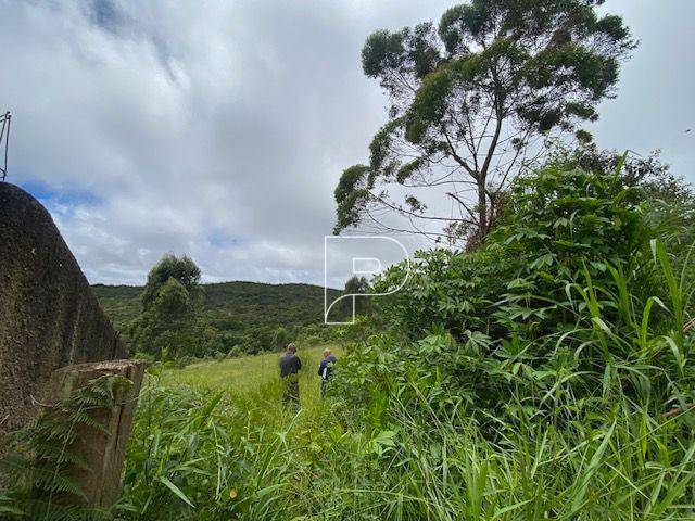 Terreno, 27 hectares - Foto 16