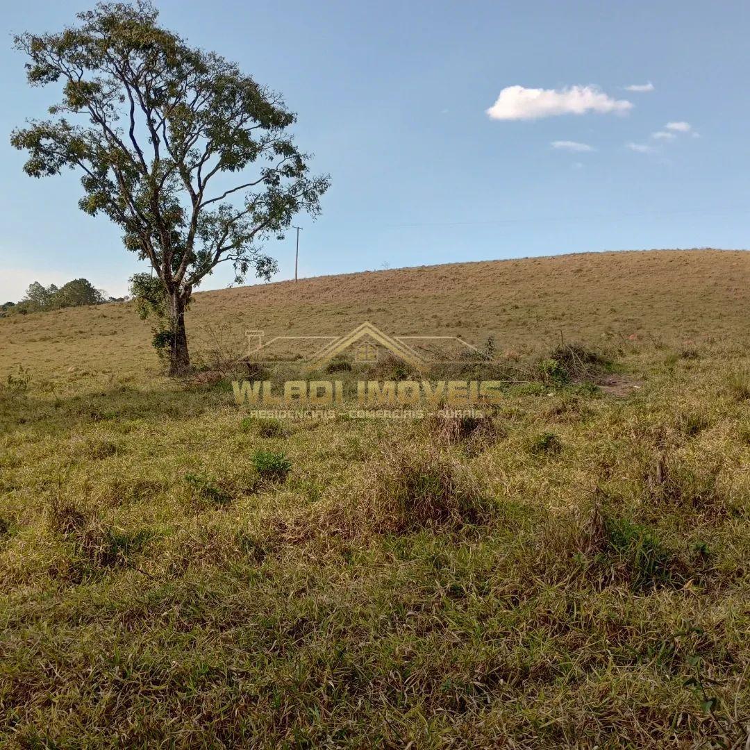 Fazenda à venda, 6m² - Foto 11